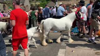 Appleby Horse Fair Saturday 2023 3rd Day [upl. by Matuag]