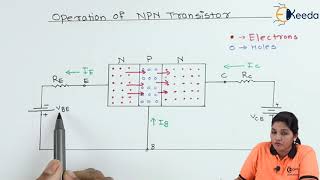 Operation of NPN Transistor  Bipolar Junction Transistor  Basic Electronics [upl. by Yrannav]