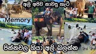 ලංකාවේ මතකයන් 🇱🇰  Pinnawala Elephant Orphanage 🐘🐘🐘🐘  Madu Liyanage [upl. by Vania]