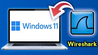 How to install Wireshark on Windows 11  stepbystep guide [upl. by Nyleahs682]