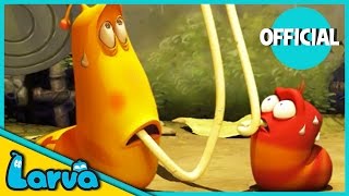 LARVA Funny Animation  LARVA AND THE SPAGHETTI  Cartoons  Comics  LARVA Official [upl. by Ariaj239]