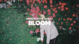 Maribou State Gaidaa  Bloom [upl. by Brenna4]