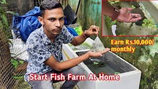 how to start fish farming at home  Rs300investment Earning Rs 30000 Monthly [upl. by Atazroglam]