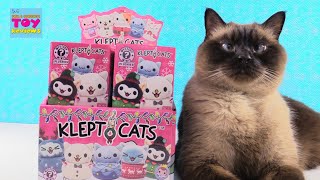 Kleptocats Funko Mystery Minis Plushies Holiday Collection Unboxing Review  PSToyReviews [upl. by Smalley]