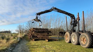 Køb Skovvogn Loglift F165ZT93R Loglift z kran på Klaravik [upl. by Yelik996]