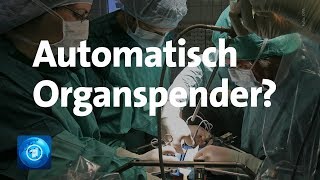 Organspende Bundestag debattiert neue Regeln [upl. by Mellar258]