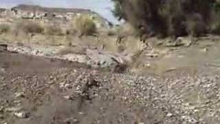 Amazing Flash Flood Footage David Rankin Rankinstudiocom [upl. by Haeli]