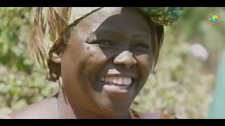 SP22BCS003Environmental SustainabilityWangai Maathai [upl. by Yroger]