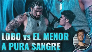 ¡EL MENOR vs LOBO ESTEPARIO ¡A PURA SANGRE [upl. by Poliard]