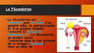 BAC Tunisie  La procreation  درس مهم جدا للتمكن من علوم الحياة و الأرض [upl. by Ollehcram832]