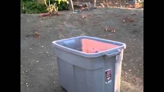 Composting Grape Skins in Vineyard [upl. by Tingey]