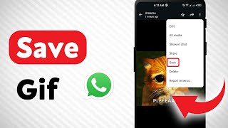 How to Save A Gif on WhatsApp Updated [upl. by Emmalee576]