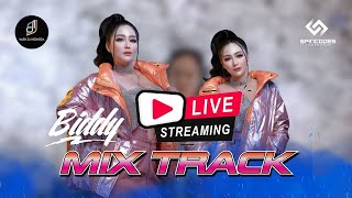 DJ BIDDY  MIXTRACK REMIX TERBARU 2024 [upl. by Alene]