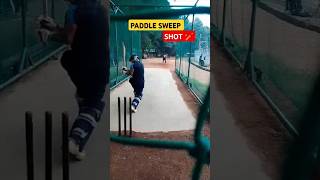 Paddle Sweep ShotPaddle SweepPaddle Sweep DrillsHow to Play Paddle SweepPaddle Sweep Batting [upl. by Dorehs]