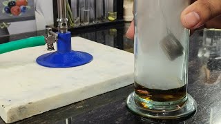 Potassium Dichromate reacts with burning Sulphur  Sulphur Dioxide Experiment 🧪 [upl. by Shari]