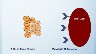 Oncogenesis  2nd Year MBBS  Lecture 02 [upl. by Ewen808]