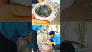 Natural pesticidepestcontroldeerghaayushnaturalfarmingorganicfarming [upl. by Enyar163]