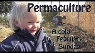 PERMACULTURE  A Cold February Sunday [upl. by Gratianna853]