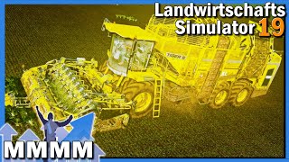 XXL Rübenernte s2e5 🚜 LS19 MMMM [upl. by Tillo]