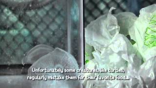 Recycle Plastic Bags  Sea Turtle Conservation [upl. by Grady]