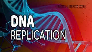 DNA Replication  Helicase  leading strand  Lagging strand  Okazaki fragments [upl. by Liane988]