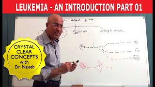 Leukemia  Causes and Symptoms  Part 13 [upl. by Moclam]