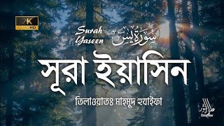 প্রতিদিন সকালে শুনুন আবেগময় কন্ঠে সূরা ইয়াসিন  Quran Tilawat  Surah Yaseen  Mahmud Huzaifa [upl. by Luis]