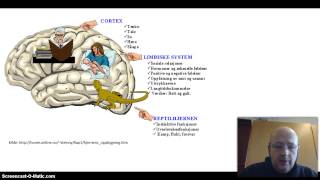 Hjernen og nervesystemet [upl. by Wheaton]