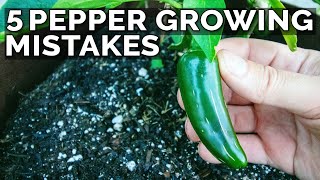 5 Pepper Growing Mistakes to Avoid [upl. by Antonio88]