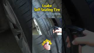 Loake self sealing silent tyres do they really exist Go along to find out [upl. by Judie]