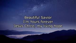 Living Hope  Instrumental with lyrics written by Phil Wickham amp Brian Johnson [upl. by Reinnej]