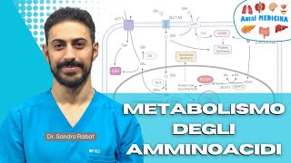 Metabolismo degli amminoacidi [upl. by Wolenik]