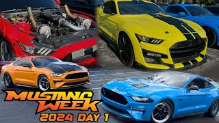 Myrtle Beach Mustang Week Day 1 Pull Out’s and Fly By’s  Reactions to my 2021 Ford Shelby GT500 [upl. by Rawdon]