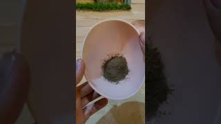 bhringraj powder benefits  hair growth powder ytshorts youtube bhringraj haircare hairgrowth [upl. by Nivri971]