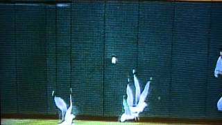 Ball Hits Bird And Gives Cleveland Indians A Win [upl. by Gavriella464]