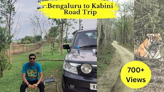 Kabini  The Land of Tigers  Complete Guide [upl. by Rufina861]