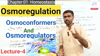 Osmoregulation  Osmoconformers Vs Osmoregulators  Lecture4  12th Bio New Book  Sir Zeeshan [upl. by Guillema757]