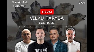 Vilkų taryba gyvai  epnr 37  klausimai atsakymai [upl. by Furey]