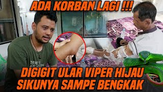 PANJI PETUALANG TOLONG BAPAK KORBAN GIGITAN ULAR VIPER EKOR MERAH [upl. by Muriel]