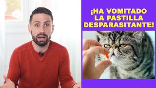 ¿Qué hacer cuando tu gato vomita la pastilla desparasitante [upl. by Lowenstein537]