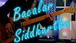 Bacalar  Siddhartha Guitar Cover [upl. by Navnod]