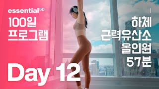 하체  근력 유산소 올인원 운동 홈트  에센셜50 100일 홈트 프로그램  Day 12 [upl. by Palumbo]