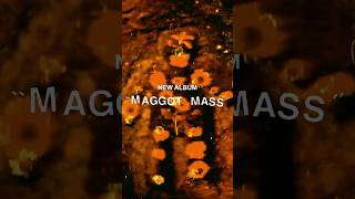 Today ​⁠pharmakonnoise unveils her latest album Maggot Mass streaming everywhere now [upl. by Audley]