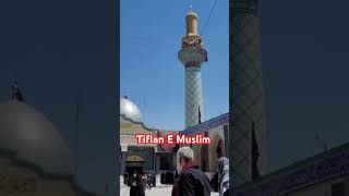 Tiflan E Muslim Kufa  Arbaeen Karbala ytshorts trendingshorts viralvideo [upl. by Shaer]