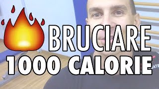 BRUCIARE 1000 CALORIE CON LA PALESTRAALLENAMENTO COME FARE [upl. by Tabbitha342]