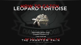 MGSV TPP  How To Catch The Leopard Tortoise [upl. by Elatnahc]