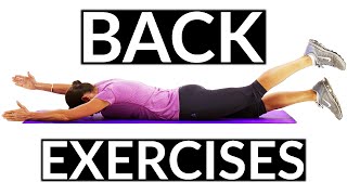 Beginners Back Exercises that Strengthen your Back [upl. by Doniv]