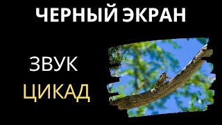 звук цикад  черный экран ⚫🦗 асмр Белый шум 10 часов для сна [upl. by Esirehs]