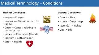 Medical Terminology  The Basics  Lesson 4 [upl. by Aeli]