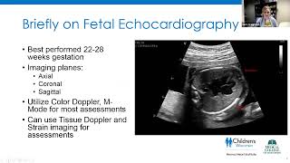 Joint Echo Conference Fetal Echocardiography [upl. by Abeu]